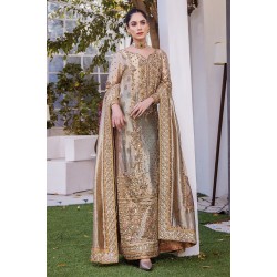 Dun Stokesia Party Wear