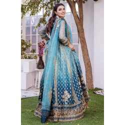 Aero and Dark cerulean Stokesia Pishwas Aero and Dark cerulean Stokesia Pishwas