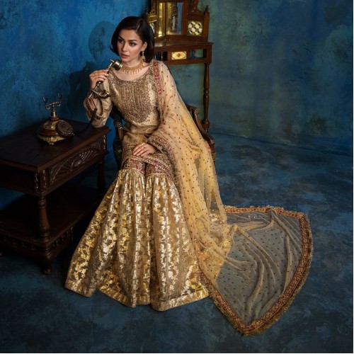 Antique Gold Stokesia Gharara