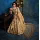 Antique Gold Stokesia Gharara
