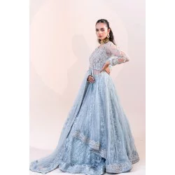 Baby Blue Eyes Stokesia Gown and Lehenga