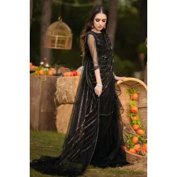 Black Stokesia Saree