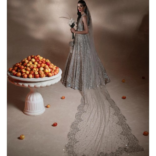Silver Ombre Zenobia Gown