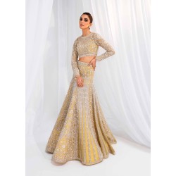 Dusty Gold Scilla Lehenga Choli Dusty Gold Scilla Lehenga Choli