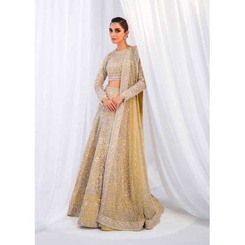 Dusty Gold Scilla Lehenga Choli Dusty Gold Scilla Lehenga Choli