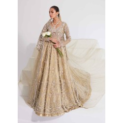 Beige Snowflake Pishwas and Lehenga