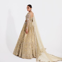 Beige Snowflake Pishwas and Lehenga