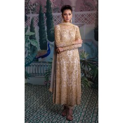 Diamond Pink Nemesia Party Wear