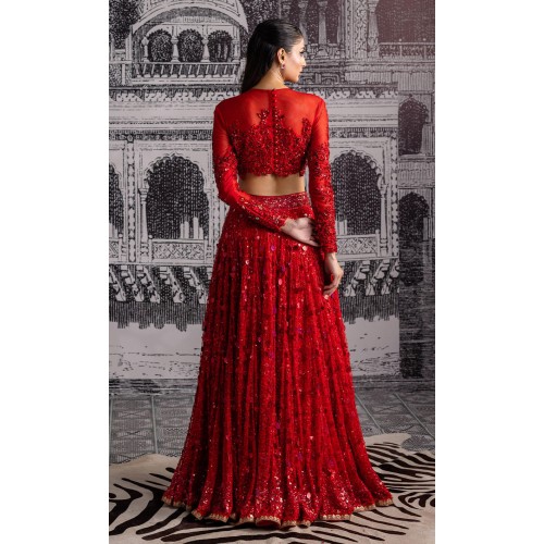 Pigment Red Nemesia Lehenga Choli