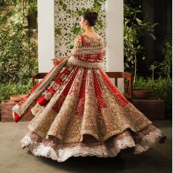 Carmine Balsam Pishwas and Lehenga Carmine Balsam Pishwas and Lehenga