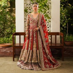 Carmine Balsam Pishwas and Lehenga