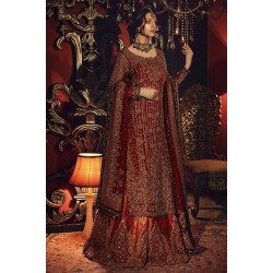 Chocolate Cosmos Amaryllis Long Shirt and Gharara