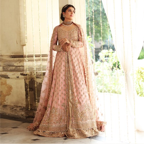 Coral Amaryllis Gown and Lehenga Coral Amaryllis Gown and Lehenga