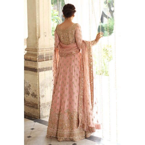 Coral Amaryllis Gown and Lehenga Coral Amaryllis Gown and Lehenga