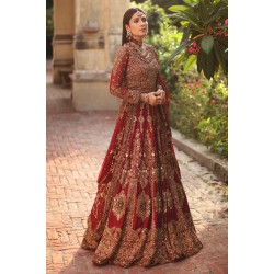 Cornell Red Amaryllis Lehenga Choli