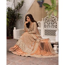 Sandy Brown Amaryllis Farshi Lehenga