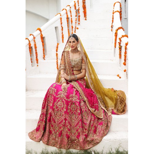 Orange Amaryllis Choli with Rose Lehenga Orange Amaryllis Choli with Rose Lehenga