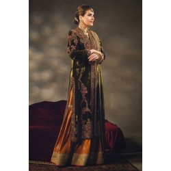 Dark Olivetone Amaryllis Velvet Jacket with Gharara
