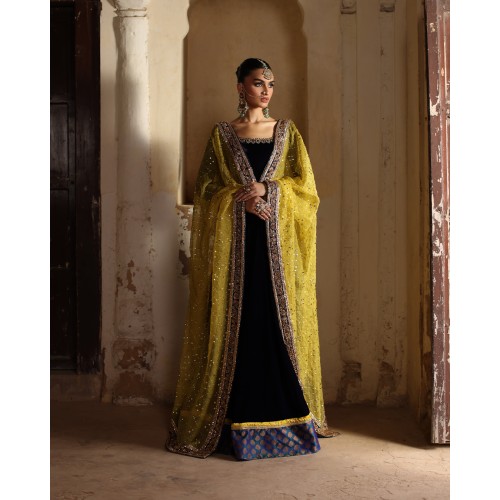 Dark Navy Blue Amaryllis Velvet Kalidaar