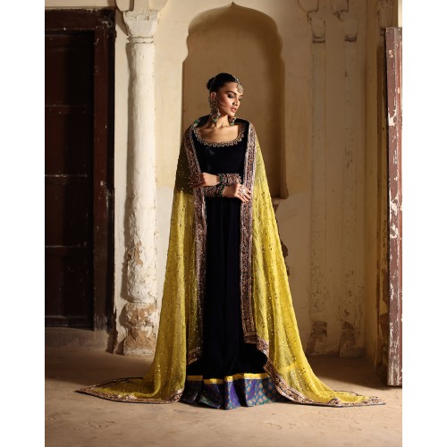 Dark Navy Blue Amaryllis Velvet Kalidaar