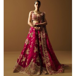 Pictorial Carmine Peony Lehenga Choli