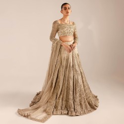 Champagne Peony Lehenga Choli