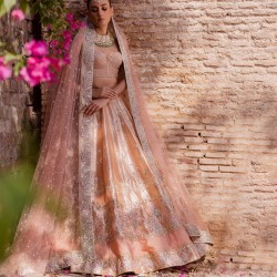 Base Flesh Peony Lehenga Choli