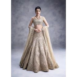 Peach Champagne Zenobia Lehenga Choli