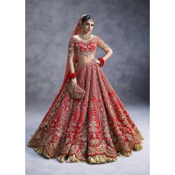 Cardinal Red Zenobia Lehenga Choli