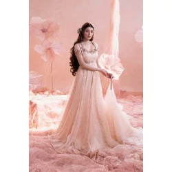 Ice Pink Zenobia Panelled Organza Gown