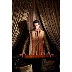 ZGMS2598 Gold Jamawar Sherwani