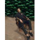 ZGMS2803 Black Jamawar Sherwani