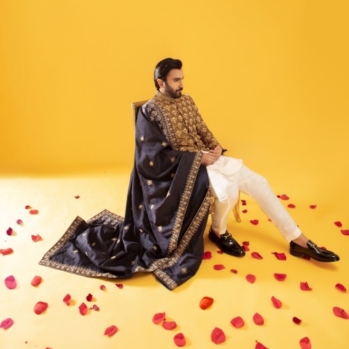 ZGMS3053 Chocolate Embroidered Raw Silk Sherwani ZGMS3053 Chocolate Embroidered Raw Silk Sherwani