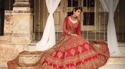 Feature Friday: The Pigment Red Amaryllis Lehenga Choli - A Match Made in Elegance