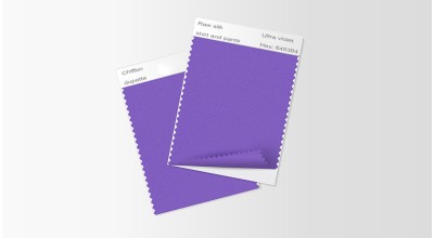 Color and Fabric Swatches for Bridal Outfits with Beadwork Sample