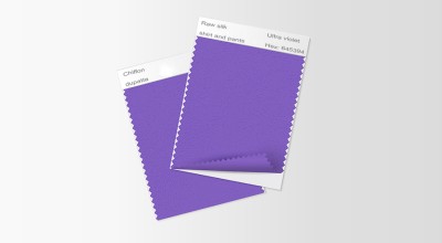 Color and Fabric Swatches for Bridal Outfits with Beadwork Sample