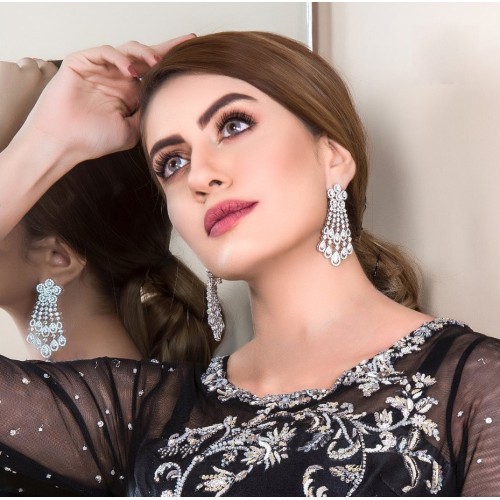 ZGJ1736 925 Sterling Silver Zircon Earrings