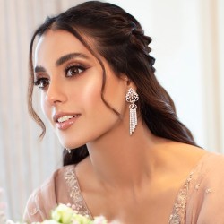 ZGJ2112 925 Sterling Silver Zircon Earrings