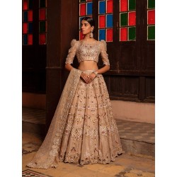 Tan Nude Forsythia Lehenga Tan Nude Forsythia Lehenga