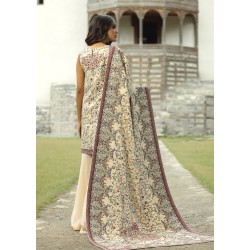 Champagne Syringa Sharara Champagne Syringa Sharara